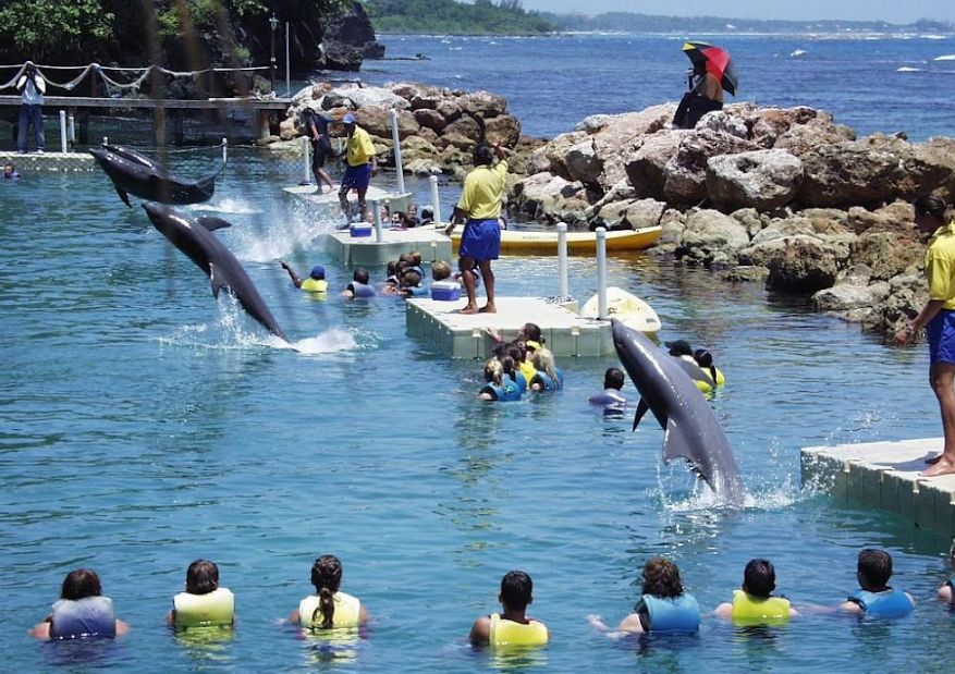 Dolphin Cove, Ocho Rios, St. Ann, Jamaica